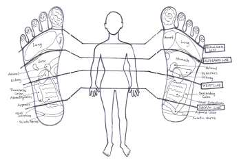 modern map of reflexology lines